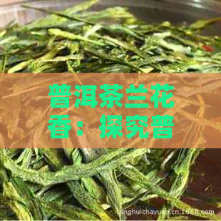 普洱茶兰花香：探究普洱茶中是否真有兰花风味