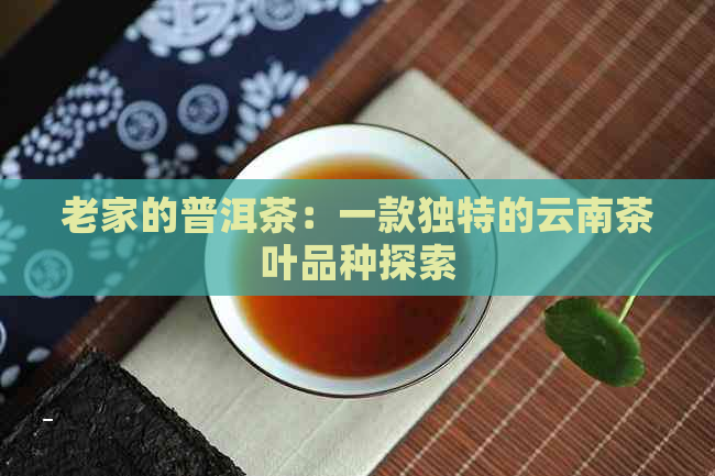 老家的普洱茶：一款独特的云南茶叶品种探索