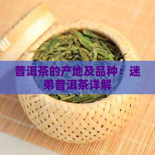 普洱茶的产地及品种：迷弟普洱茶详解