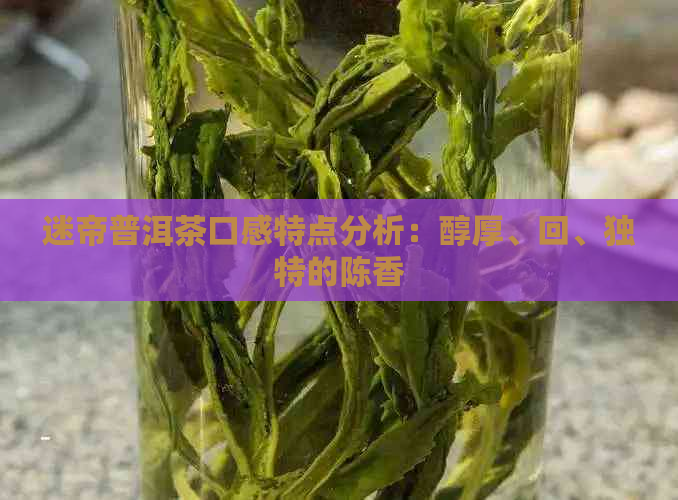 迷帝普洱茶口感特点分析：醇厚、回、独特的陈香