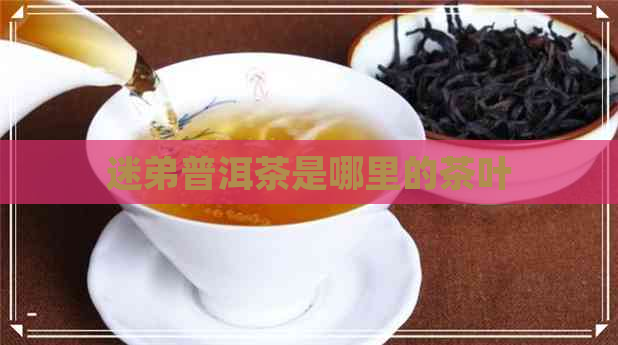 迷弟普洱茶是哪里的茶叶