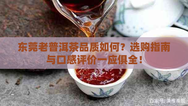 东莞老普洱茶品质如何？选购指南与口感评价一应俱全！