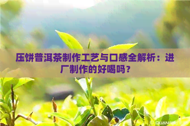 压饼普洱茶制作工艺与口感全解析：进厂制作的好喝吗？