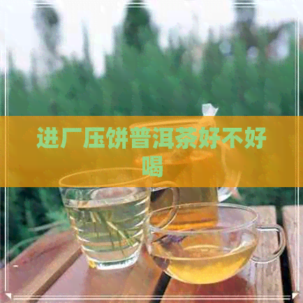 进厂压饼普洱茶好不好喝