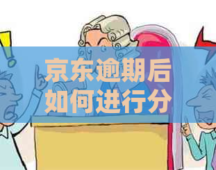 京东逾期后如何进行分期还款？详细操作步骤与注意事项解析