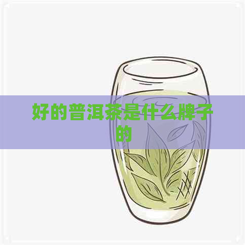 好的普洱茶是什么牌子的