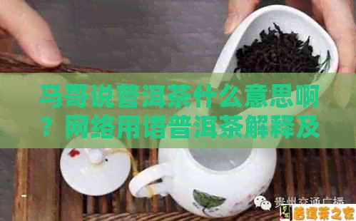 马哥说普洱茶什么意思啊？网络用语普洱茶解释及含义