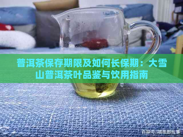 普洱茶保存期限及如何长保期：大雪山普洱茶叶品鉴与饮用指南