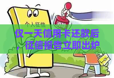 仅一天信用卡还款后，报告立即出炉：揭示了哪些关键信息？