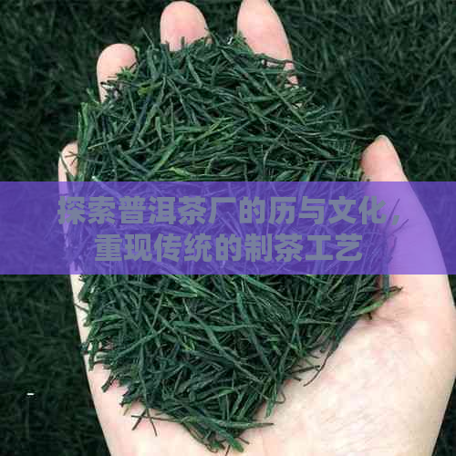 探索普洱茶厂的历与文化，重现传统的制茶工艺