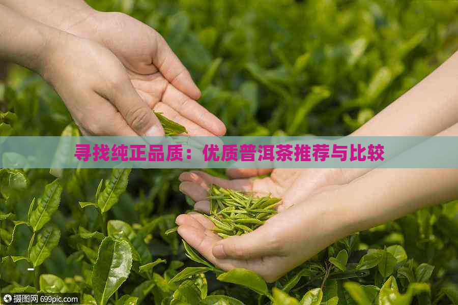 寻找纯正品质：优质普洱茶推荐与比较