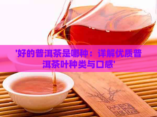 '好的普洱茶是哪种：详解优质普洱茶叶种类与口感'