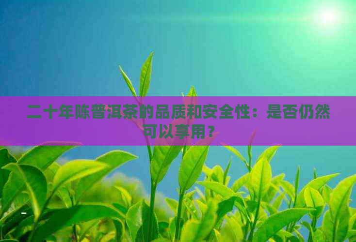 二十年陈普洱茶的品质和安全性：是否仍然可以享用？