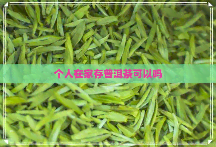 个人在家存普洱茶可以吗