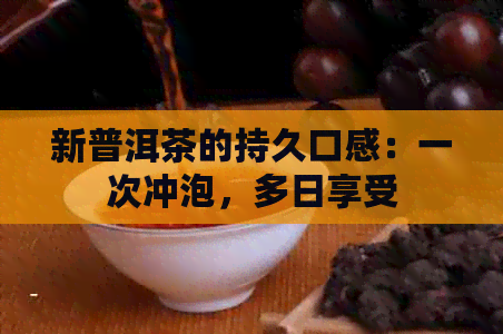 新普洱茶的持久口感：一次冲泡，多日享受