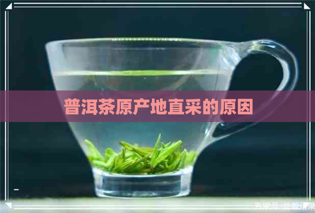 普洱茶原产地直采的原因