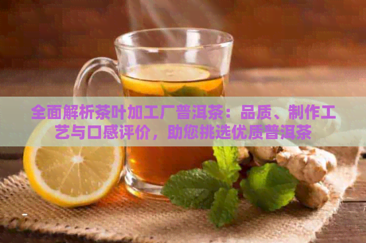 全面解析茶叶加工厂普洱茶：品质、制作工艺与口感评价，助您挑选优质普洱茶