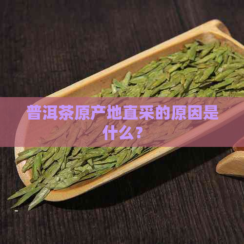 普洱茶原产地直采的原因是什么？