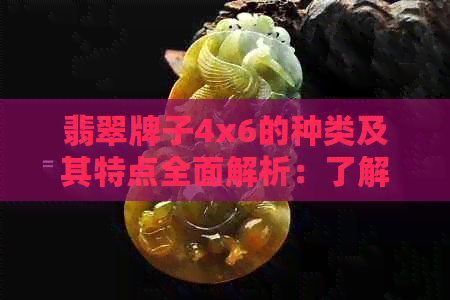 翡翠牌子4x6的种类及其特点全面解析：了解各种款式与品质