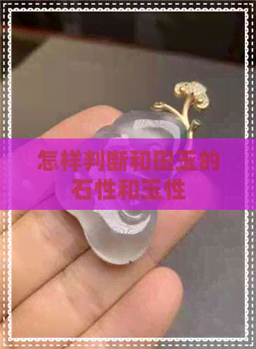 怎样判断和田玉的石性和玉性