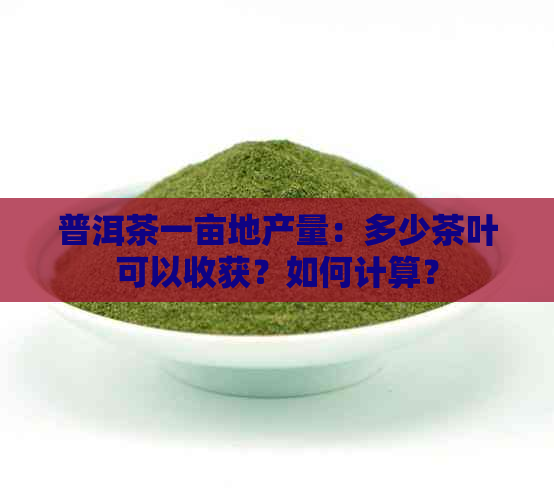 普洱茶一亩地产量：多少茶叶可以收获？如何计算？