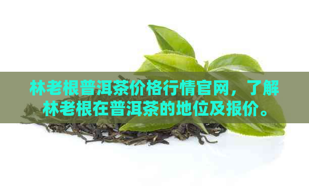 林老根普洱茶价格行情官网，了解林老根在普洱茶的地位及报价。