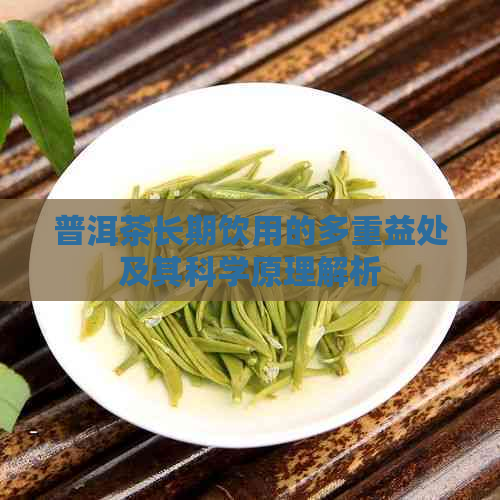 普洱茶长期饮用的多重益处及其科学原理解析