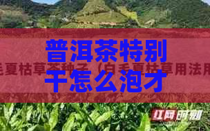 普洱茶特别干怎么泡才能品尝到口感？能喝吗？