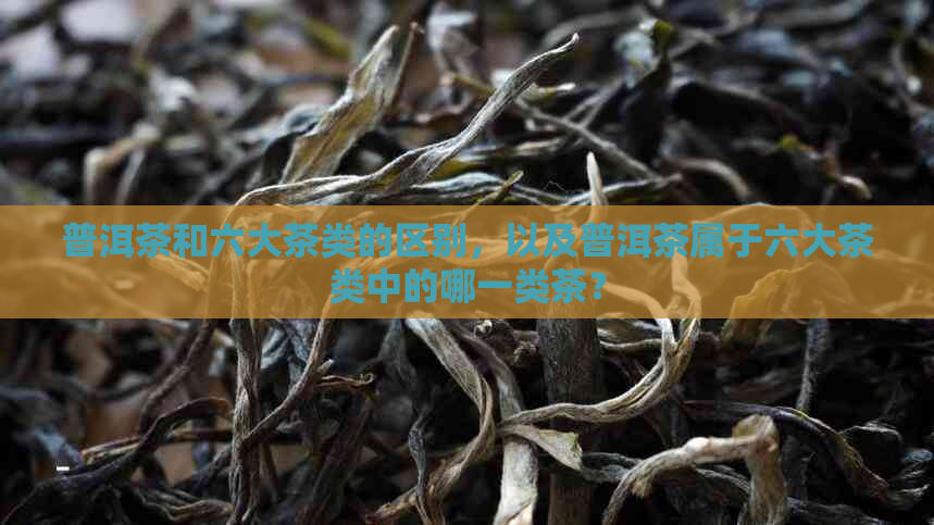 普洱茶和六大茶类的区别，以及普洱茶属于六大茶类中的哪一类茶？