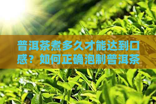 普洱茶煮多久才能达到口感？如何正确泡制普洱茶？