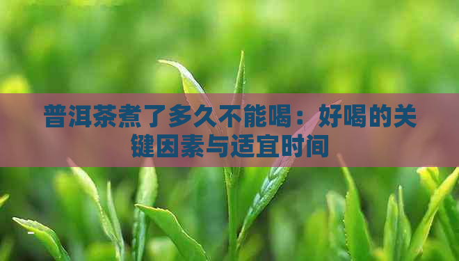 普洱茶煮了多久不能喝：好喝的关键因素与适宜时间