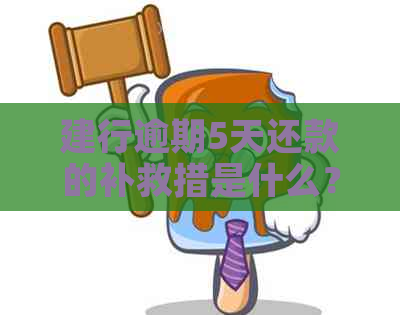 建行逾期5天还款的补救措是什么？