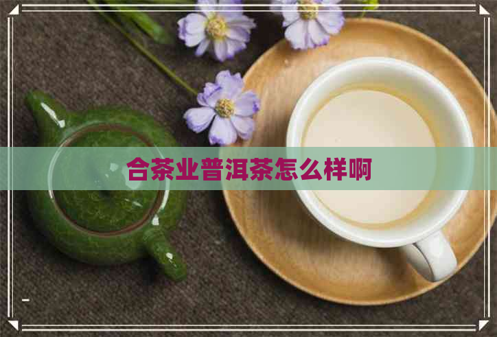 合茶业普洱茶怎么样啊