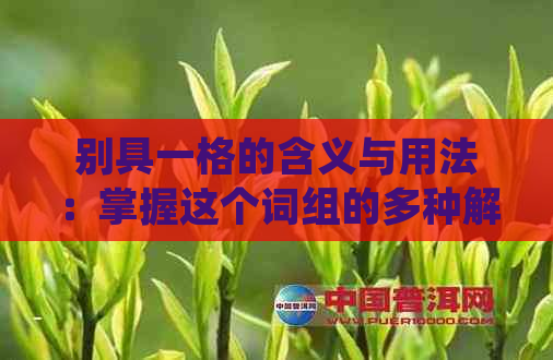 别具一格的含义与用法：掌握这个词组的多种解释和实际应用