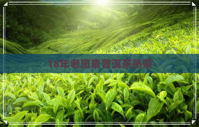 18年老班章普洱茶熟茶