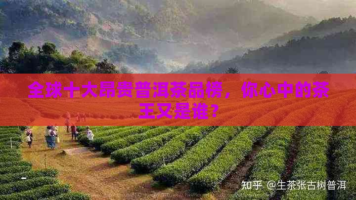 全球十大昂贵普洱茶品榜，你心中的茶王又是谁？