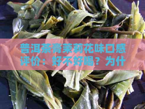 普洱茶膏茉莉花味口感评价：好不好喝？为什么受到欢迎？