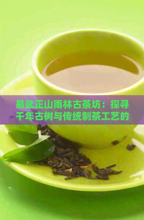 易武正山雨林古茶坊：探寻千年古树与传统制茶工艺的完美融合