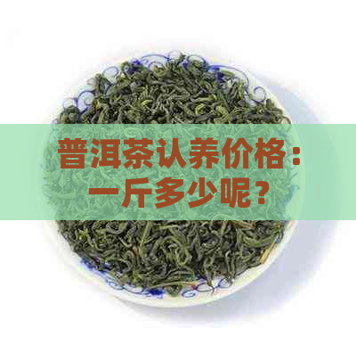 普洱茶认养价格：一斤多少呢？