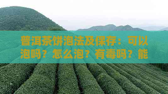 普洱茶饼泡法及保存：可以泡吗？怎么泡？有吗？能放多久？可以直接泡吗？