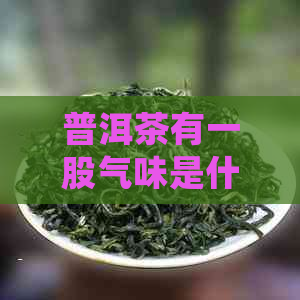 普洱茶有一股气味是什么味儿？普洱茶为什么会有怪味？