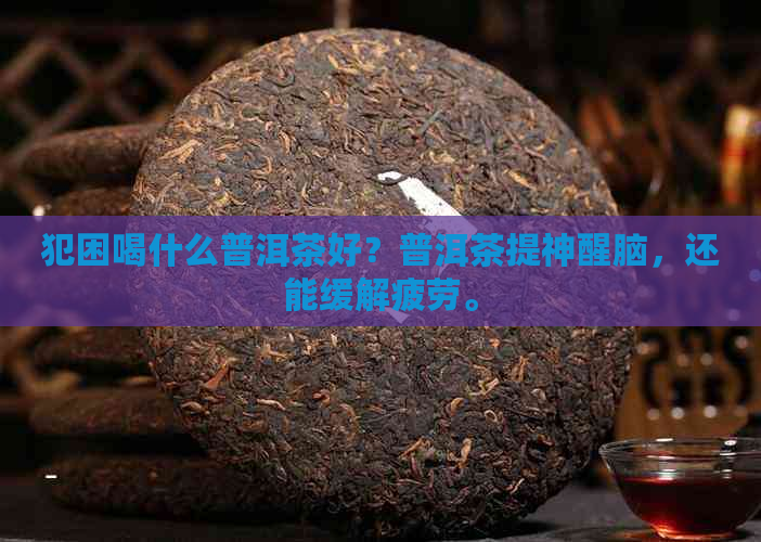 犯困喝什么普洱茶好？普洱茶提神醒脑，还能缓解疲劳。