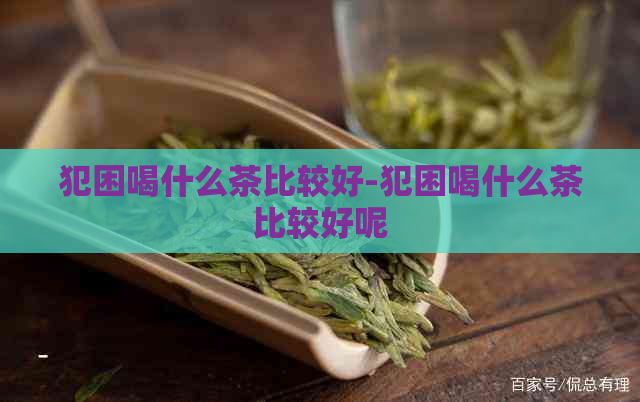 犯困喝什么茶比较好-犯困喝什么茶比较好呢