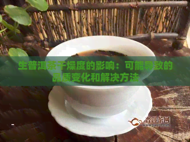 生普洱茶干燥度的影响：可能导致的品质变化和解决方法