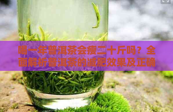 喝一年普洱茶会瘦二十斤吗？全面解析普洱茶的减肥效果及正确饮用方法