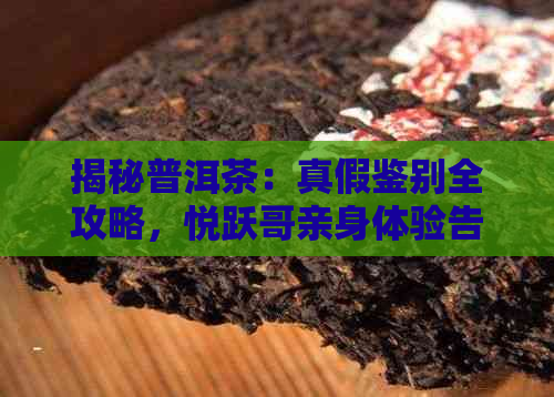 揭秘普洱茶：真假鉴别全攻略，悦跃哥亲身体验告诉你！