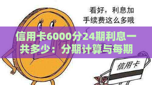 信用卡6000分24期利息一共多少：分期计算与每期金额解析