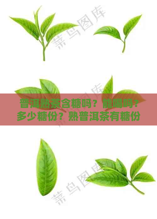 普洱熟茶含糖吗？能喝吗？多少糖份？熟普洱茶有糖份吗？