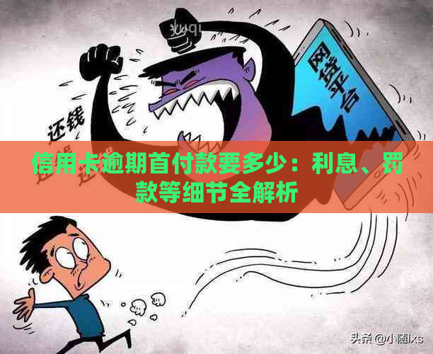 信用卡逾期首付款要多少：利息、罚款等细节全解析