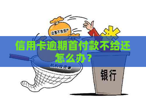 信用卡逾期首付款不给还怎么办？